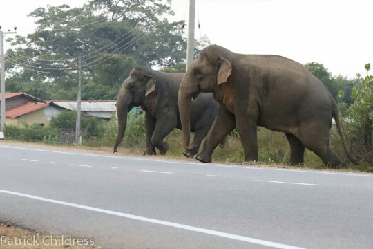 FB_IMG_1521105036028_resized