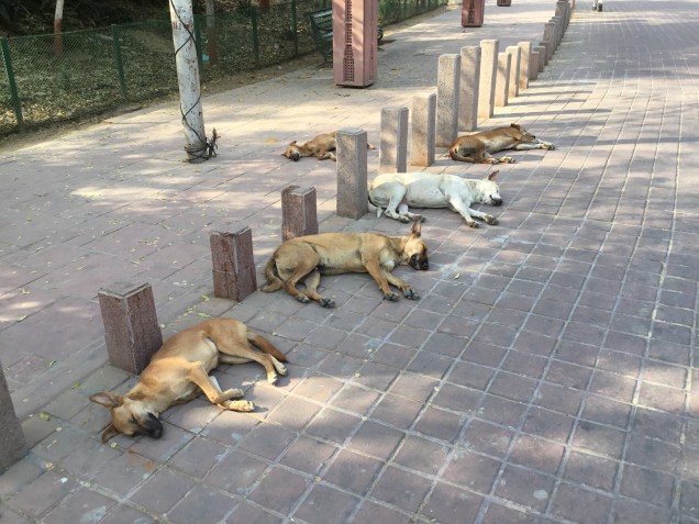 C89BF857-64F0-4713-BBD5-AABE30558213