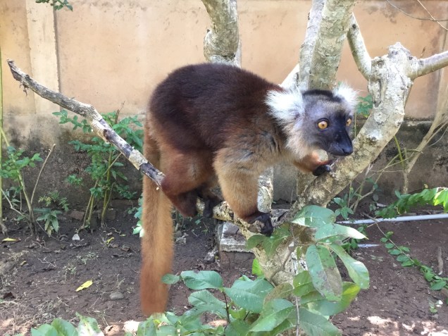 8CF34DD0-30F9-40EA-B1BC-5BF09183DF8F