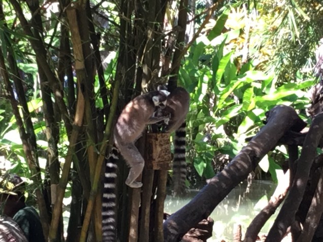 F220CA94-D9F3-4B19-A2AA-DB6697C7B981