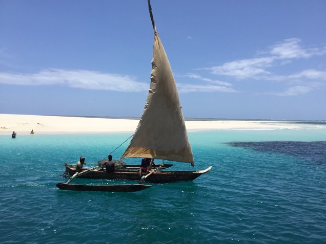 9543B4B6-0F0A-4CB5-A839-C3AB8ECBB7E3