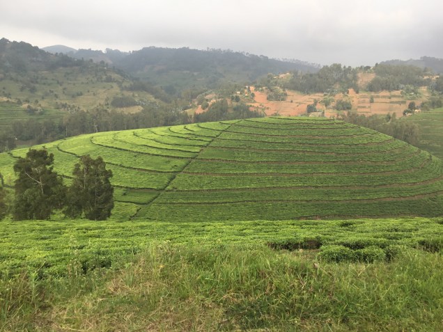 2CC6298F-0A47-4592-B977-1AB0B8902CE0