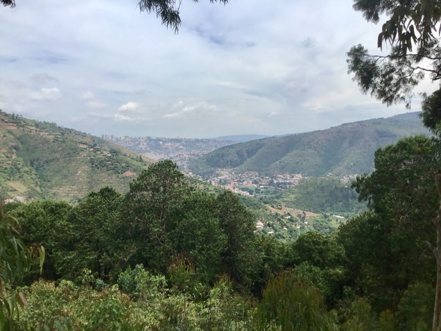 6F66CEB5-27C5-41E7-96DB-8EAF67BE4BC5