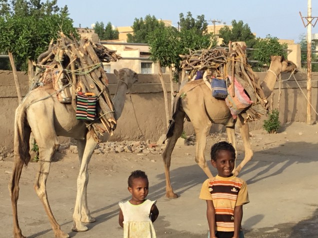 24BECAF7-4138-4A84-883F-7DBC50BD6BA8