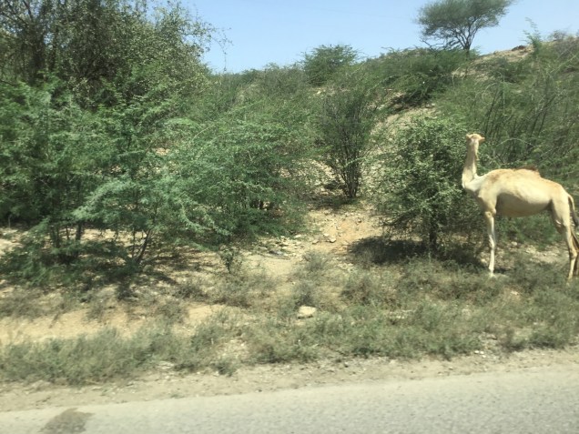 7A1F6577-1CB4-4170-90F6-3716900A9691